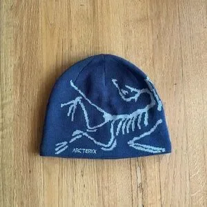 帽子 ARC'TERYX Bird Head Toque Moonlit/Lucent Bird Head Toque Moonlit/Lucent | eBay